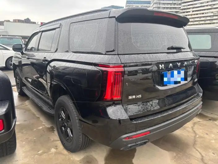 Haval H5 2025 Model 2.0T Diesel Pilot Automatic 4WD – фото 4
