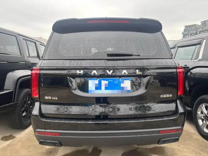 Haval H5 2025 Model 2.0T Diesel Pilot Automatic 4WD – фото 5