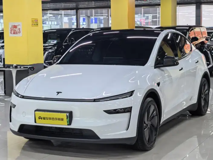 Model Y 2025 Model Rear-wheel drive version – фото 1