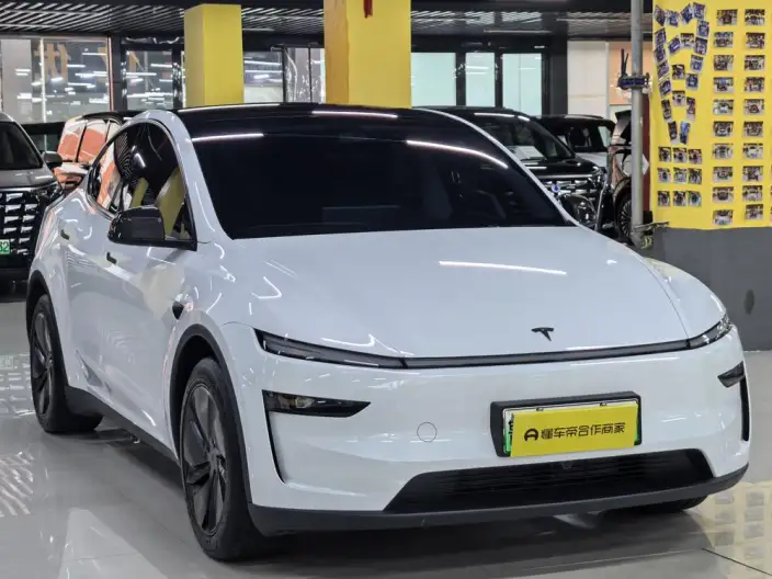 Model Y 2025 Model Rear-wheel drive version – фото 3