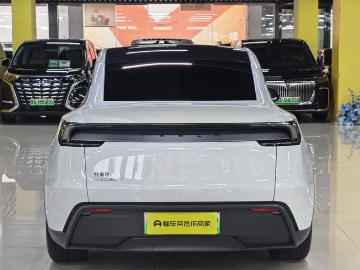 Model Y 2025 Model Rear-wheel drive version – фото 5