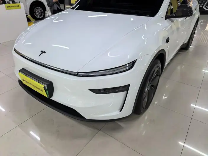 Model Y 2025 Model Rear-wheel drive version – фото 13