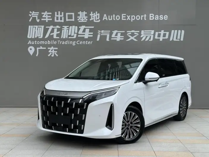 BYD M9 2025 Model 1060 Pilot Edition
