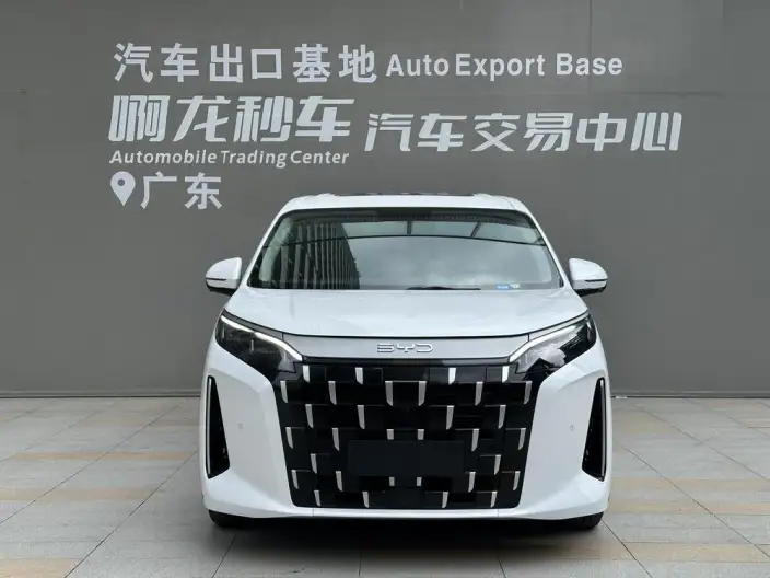 BYD M9 2025 Model 1060 Pilot Edition – фото 2