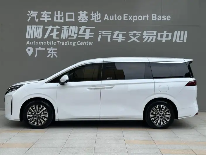 BYD M9 2025 Model 1060 Pilot Edition – фото 3