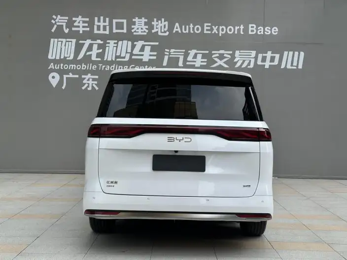 BYD M9 2025 Model 1060 Pilot Edition – фото 4