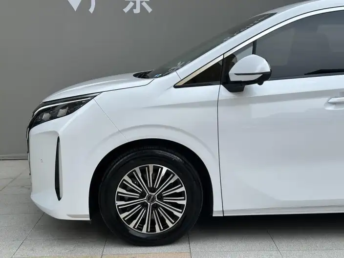 BYD M9 2025 Model 1060 Pilot Edition – фото 5