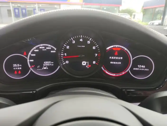 Panamera 2023 Model Panamera 4 Executive Extended Platinum Edition 2.9T – фото 4
