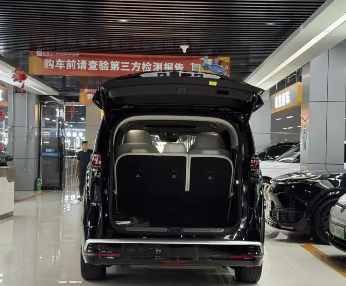 DENZA D9 DM 2025 Model Smart Driving Edition 1020 4WD Exclusive Model – фото 16
