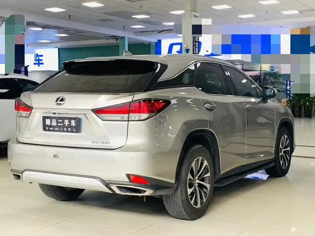 Lexus RX 2020 Model Facelift 300 2WD Elite Edition – фото 6