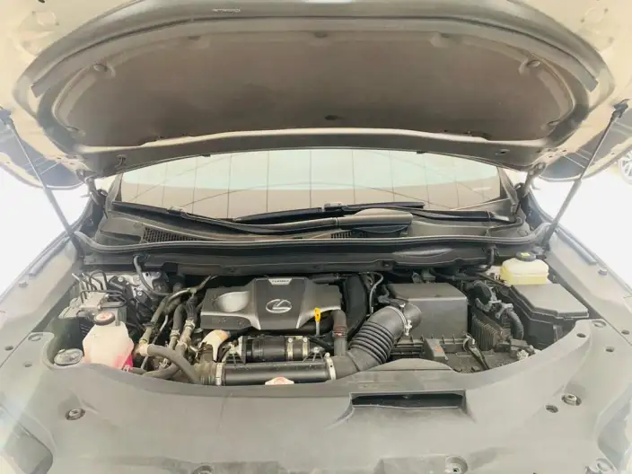 Lexus RX 2020 Model Facelift 300 2WD Elite Edition – фото 7