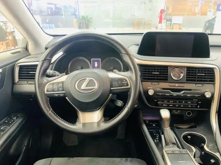 Lexus RX 2020 Model Facelift 300 2WD Elite Edition – фото 10