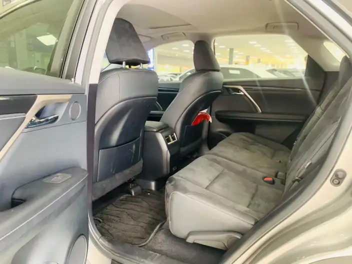 Lexus RX 2020 Model Facelift 300 2WD Elite Edition – фото 12