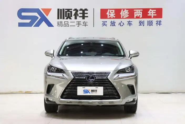 Lexus NX 2020 Model 300h Qian Drive Fengshang Edition China VI – фото 2