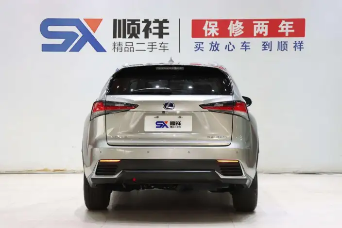 Lexus NX 2020 Model 300h Qian Drive Fengshang Edition China VI – фото 5