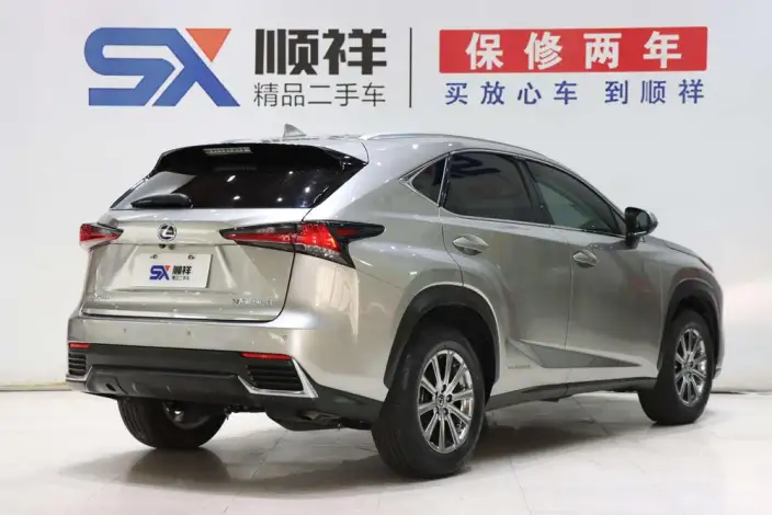 Lexus NX 2020 Model 300h Qian Drive Fengshang Edition China VI – фото 6