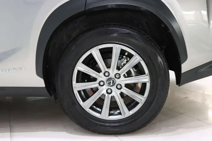 Lexus NX 2020 Model 300h Qian Drive Fengshang Edition China VI – фото 7