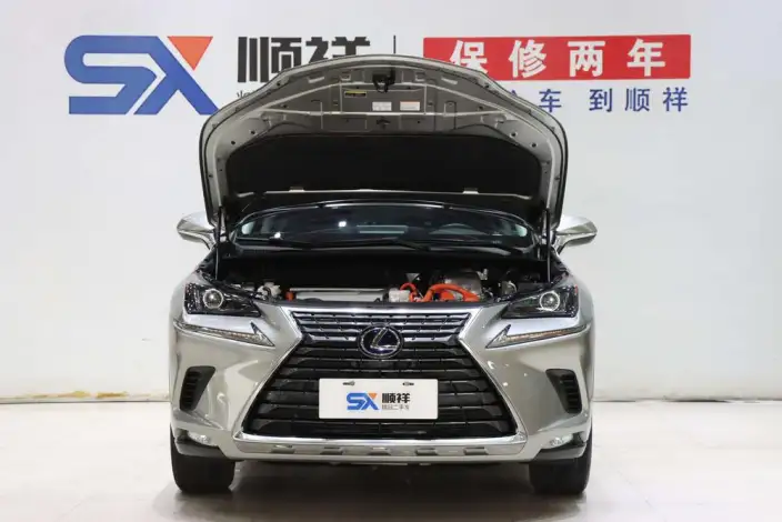 Lexus NX 2020 Model 300h Qian Drive Fengshang Edition China VI – фото 10