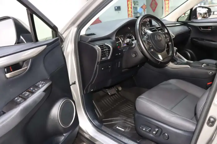 Lexus NX 2020 Model 300h Qian Drive Fengshang Edition China VI – фото 16