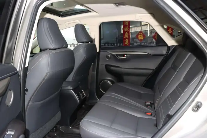 Lexus NX 2020 Model 300h Qian Drive Fengshang Edition China VI – фото 17