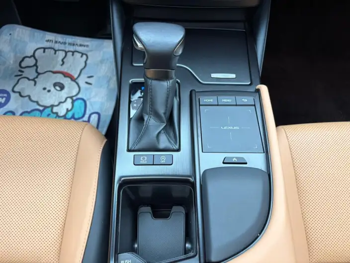 Lexus ES 2021 Model 200 Superior Edition – фото 11