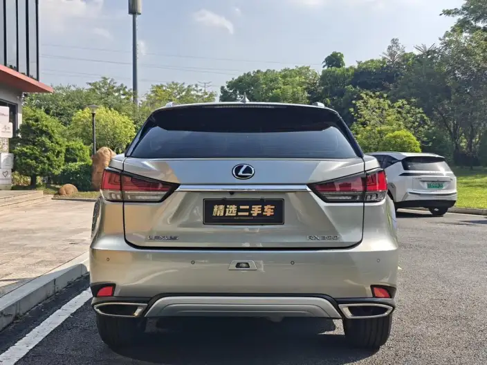Lexus RX 2020 Model 300 2WD Elite Edition China VI – фото 5