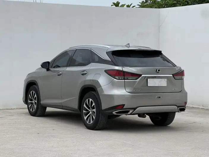 Lexus RX 2020 Model Facelift 300 2WD Elite Edition – фото 4