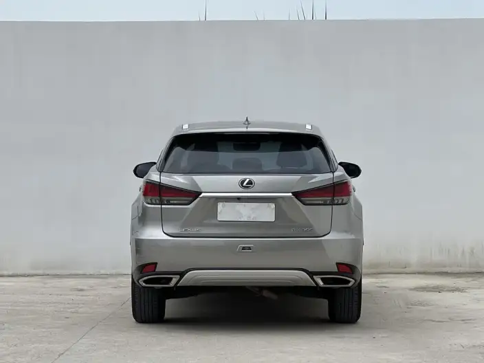 Lexus RX 2020 Model Facelift 300 2WD Elite Edition – фото 5