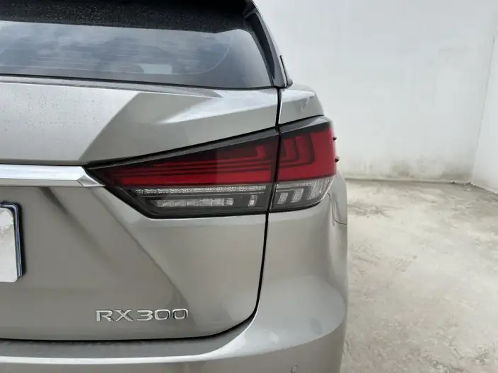 Lexus RX 2020 Model Facelift 300 2WD Elite Edition – фото 8