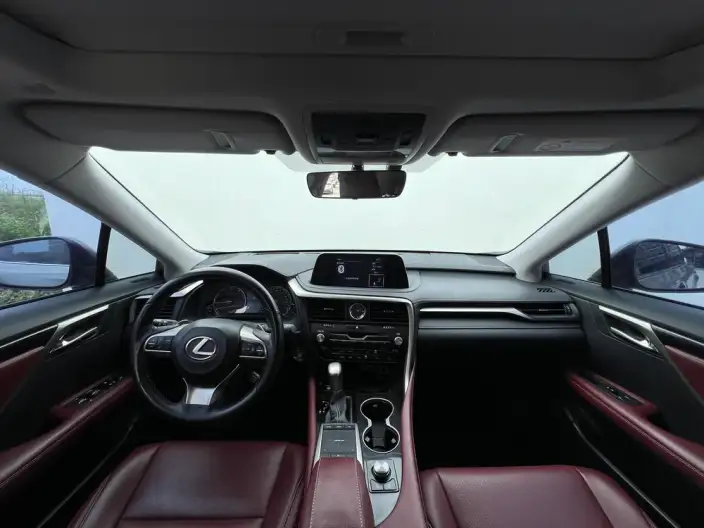 Lexus RX 2020 Model Facelift 300 2WD Elite Edition – фото 12
