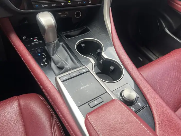 Lexus RX 2020 Model Facelift 300 2WD Elite Edition – фото 15