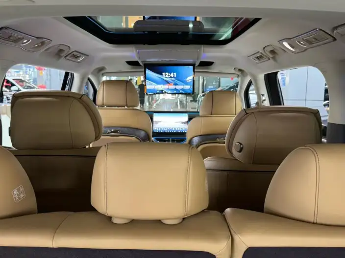 DENZA D9 DM 2024 Model 970 Luxury Model – фото 8