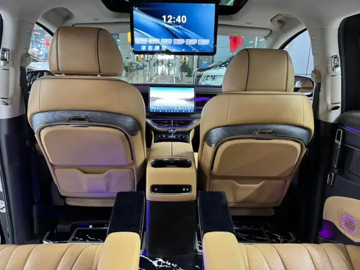 DENZA D9 DM 2024 Model 970 Luxury Model – фото 13