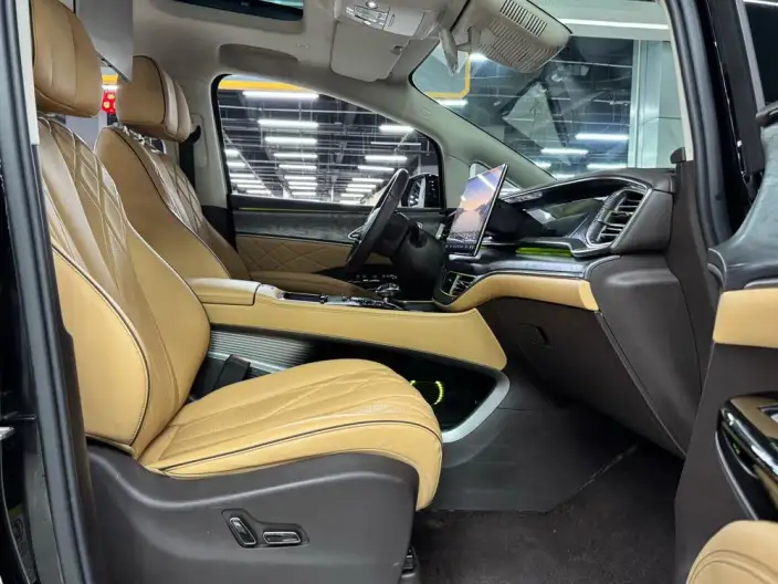 DENZA D9 DM 2024 Model 970 Luxury Model – фото 19