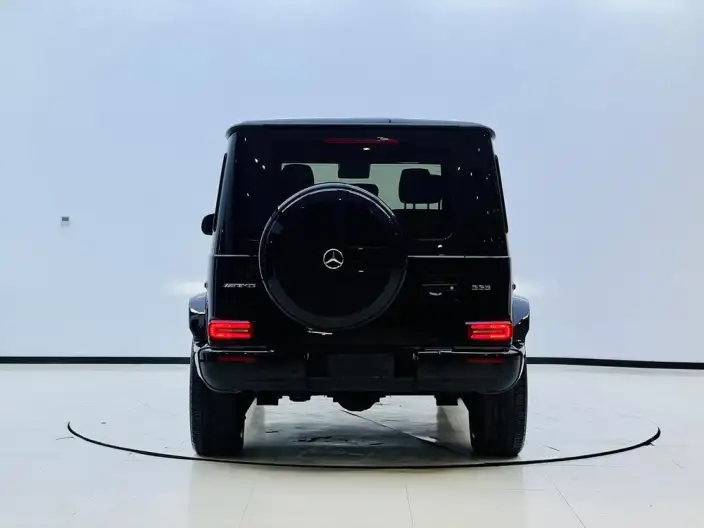 Mercedes-Benz G-Class 2020 Model G 500 Dark Night Special Edition – фото 5