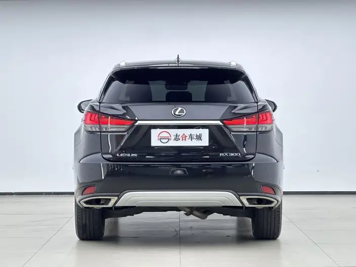 Lexus RX 2020 Model Facelift 300 4WD Elegant Edition – фото 4