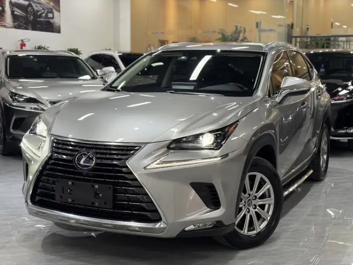 Lexus NX 2020 Model 300h Qian Drive Fengshang Edition China V – фото 1