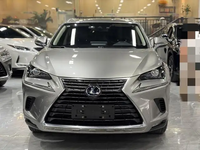 Lexus NX 2020 Model 300h Qian Drive Fengshang Edition China V – фото 2