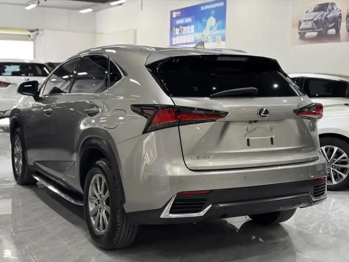 Lexus NX 2020 Model 300h Qian Drive Fengshang Edition China V – фото 4