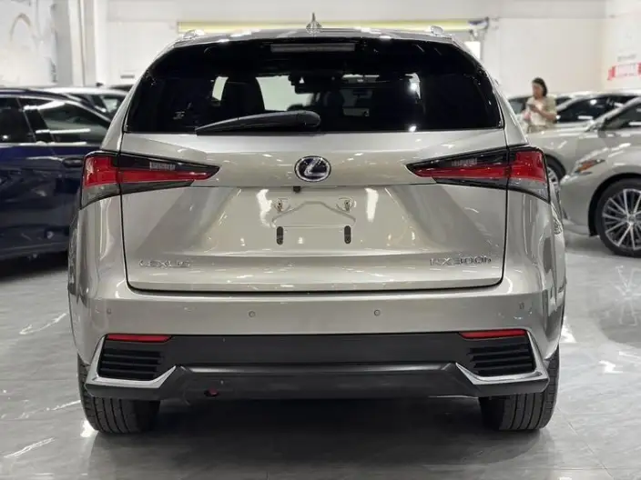 Lexus NX 2020 Model 300h Qian Drive Fengshang Edition China V – фото 5