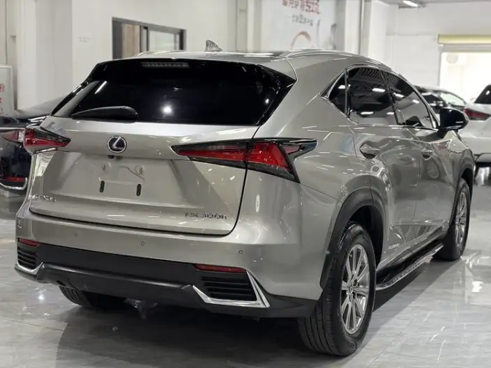 Lexus NX 2020 Model 300h Qian Drive Fengshang Edition China V – фото 6