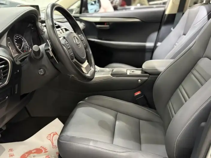 Lexus NX 2020 Model 300h Qian Drive Fengshang Edition China V – фото 8