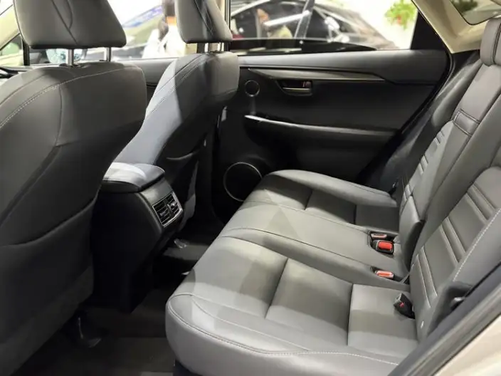 Lexus NX 2020 Model 300h Qian Drive Fengshang Edition China V – фото 9