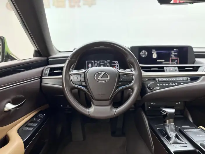 Lexus ES 2020 Model 260 Superior Edition China VI – фото 12