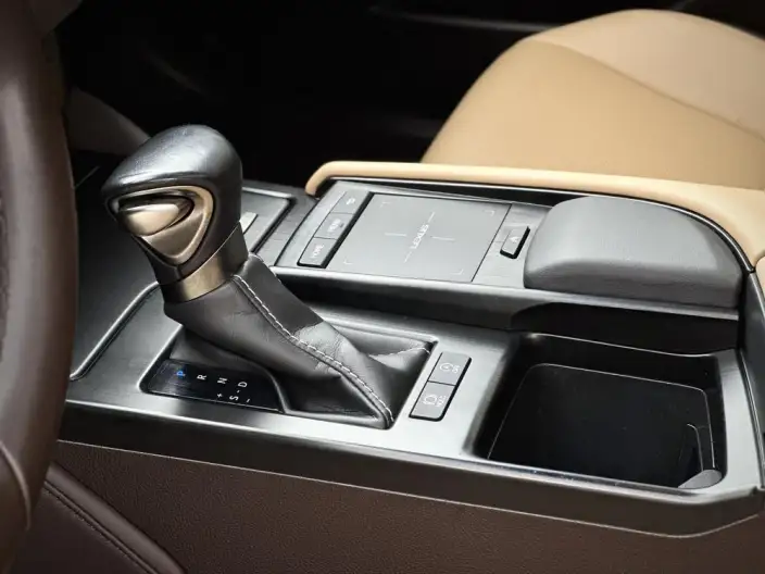 Lexus ES 2020 Model 260 Superior Edition China VI – фото 13