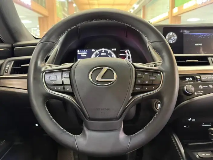 Lexus ES 2020 Model 200 Superior Edition China VI – фото 21