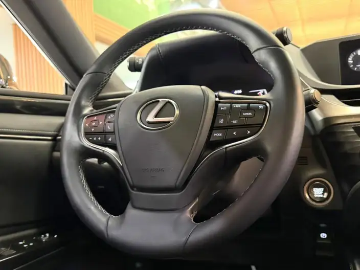 Lexus ES 2020 Model 200 Superior Edition China VI – фото 26