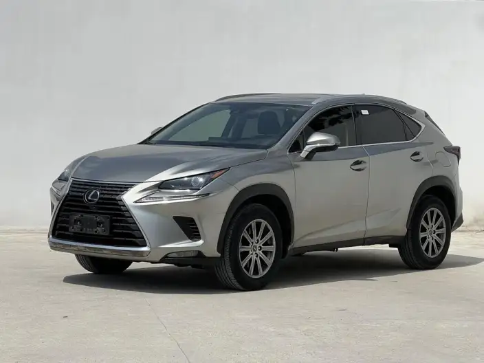 Lexus NX 2020 Model 200 Quan Drive Fengshang Edition China VI – фото 1