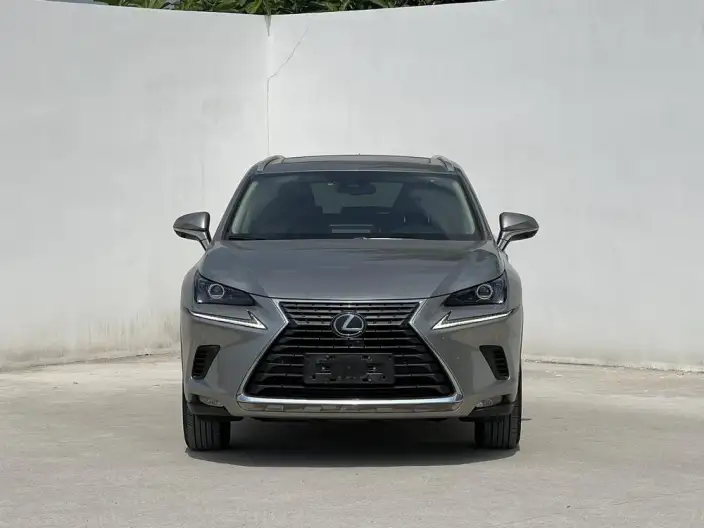 Lexus NX 2020 Model 200 Quan Drive Fengshang Edition China VI – фото 2