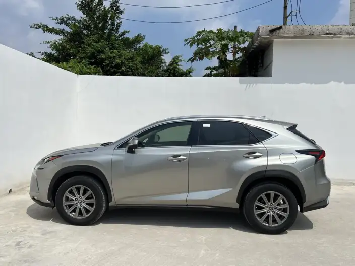 Lexus NX 2020 Model 200 Quan Drive Fengshang Edition China VI – фото 3